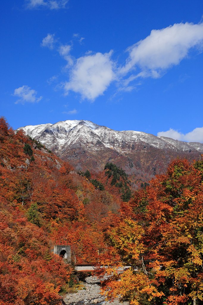 「鉄色」に染まる？