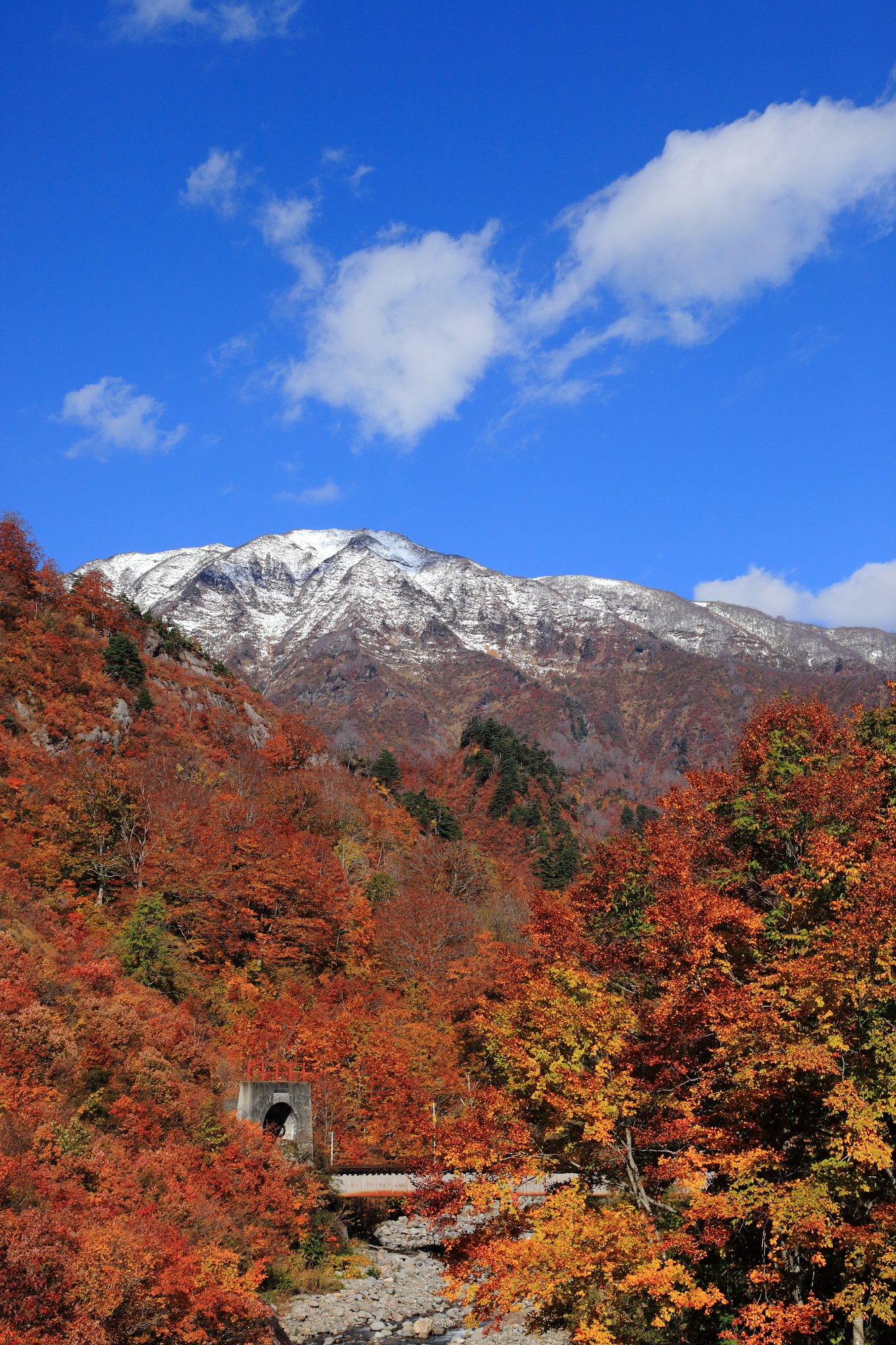 「鉄色」に染まる？