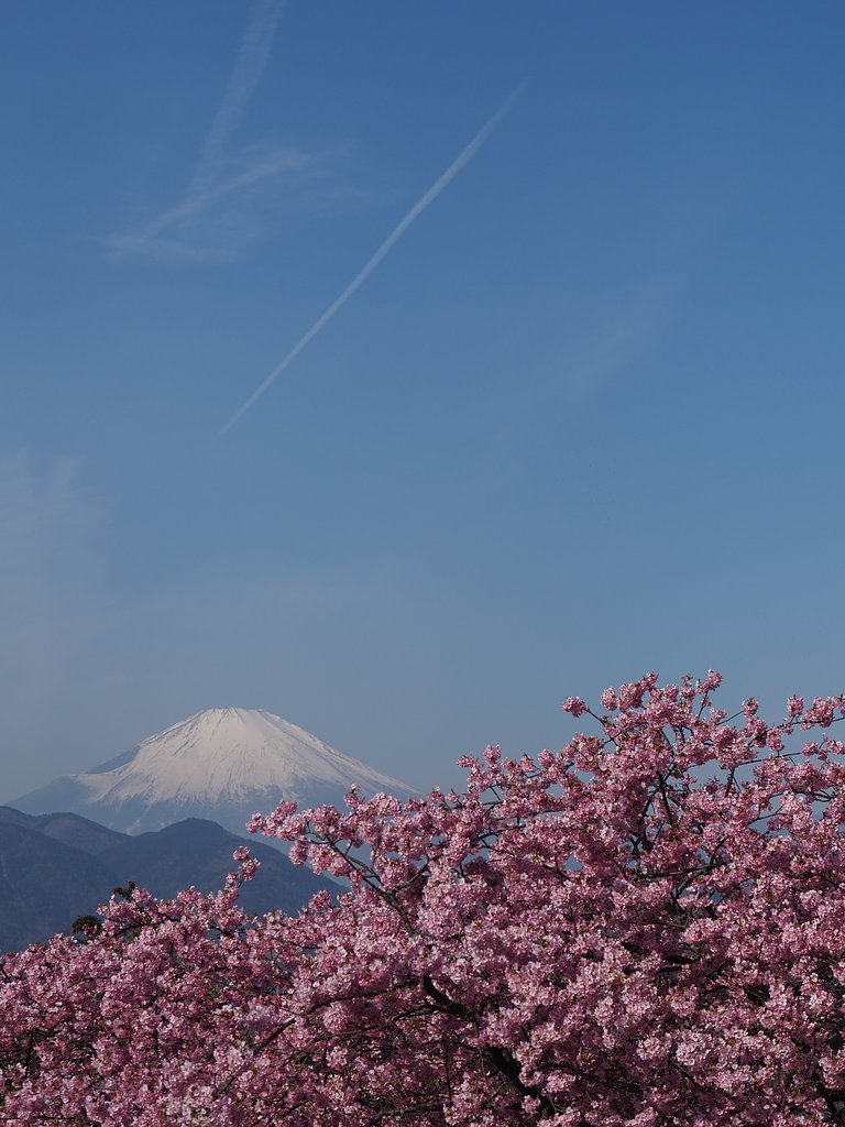 ◎Pana-LEICA DG NOCTICRON 42.5mm/F1.2 ASPH.