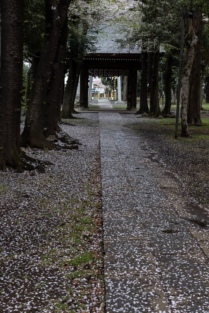 EF50mm f/1.2L USM