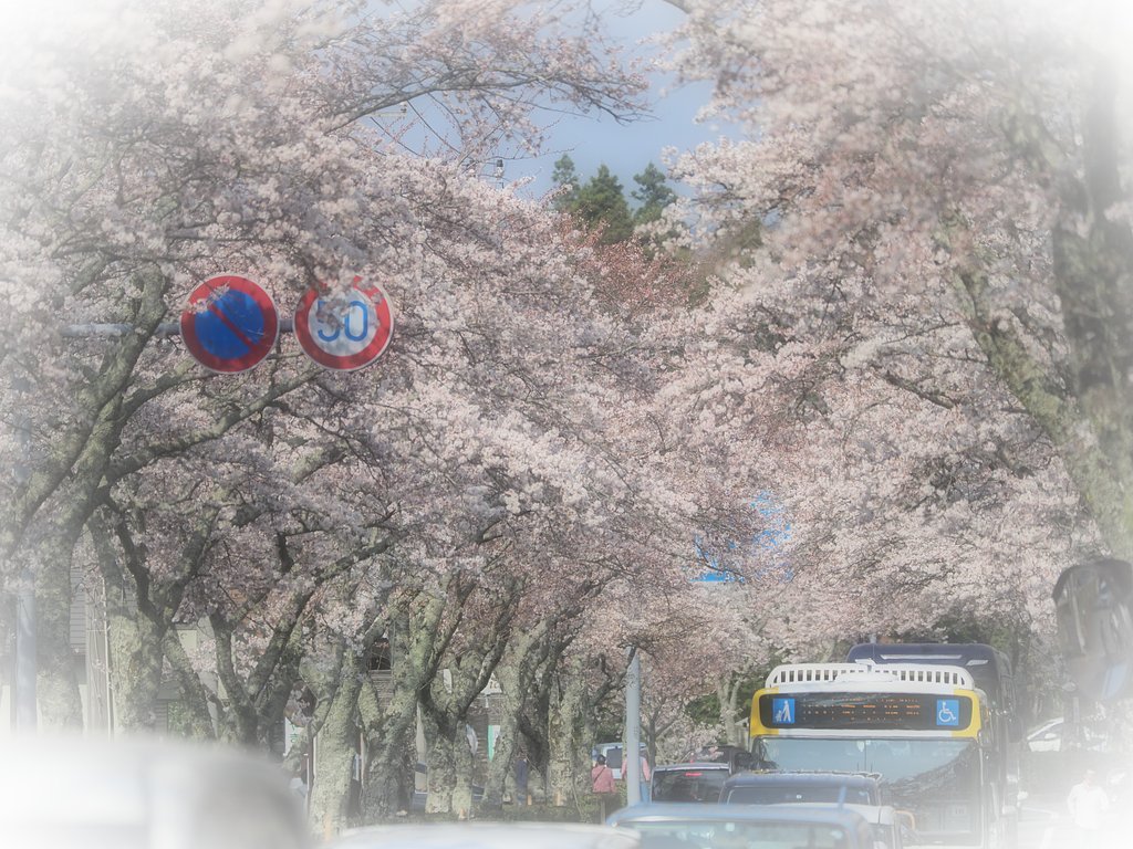 ◎Pana-LEICA DG VARIO ELMARIT50-200mm/F2.8-4 ASPH.