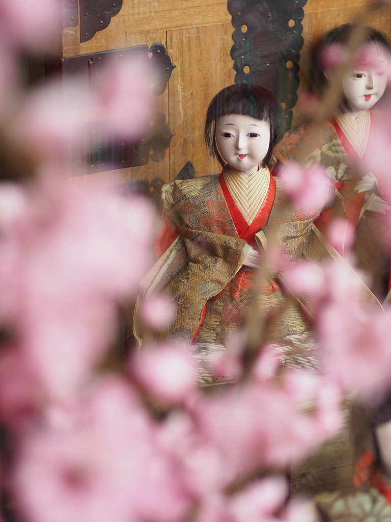 ◎コシナ ツァイスMakro Planar 50mm/F2