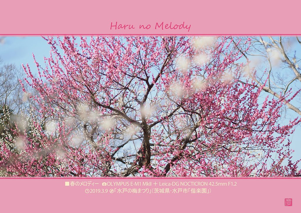 春のメロディー