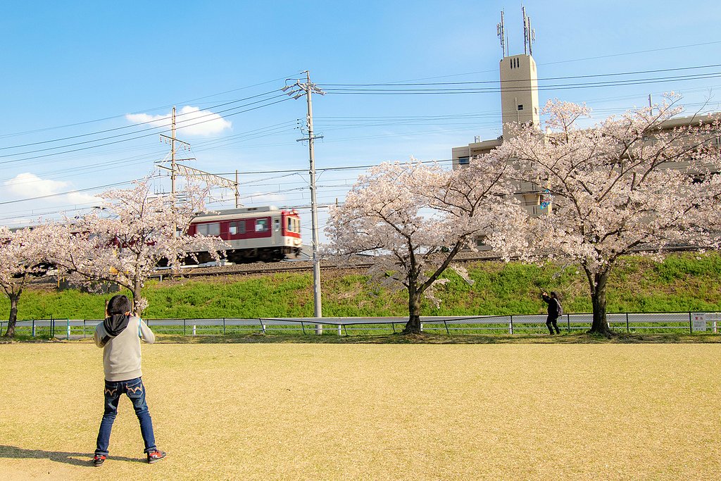 【花のある風景】撮り鉄の君に・・