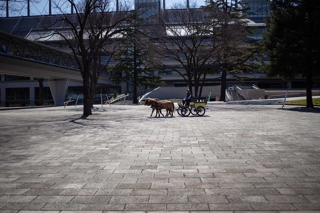RF35mm F1.8 MACRO IS STM