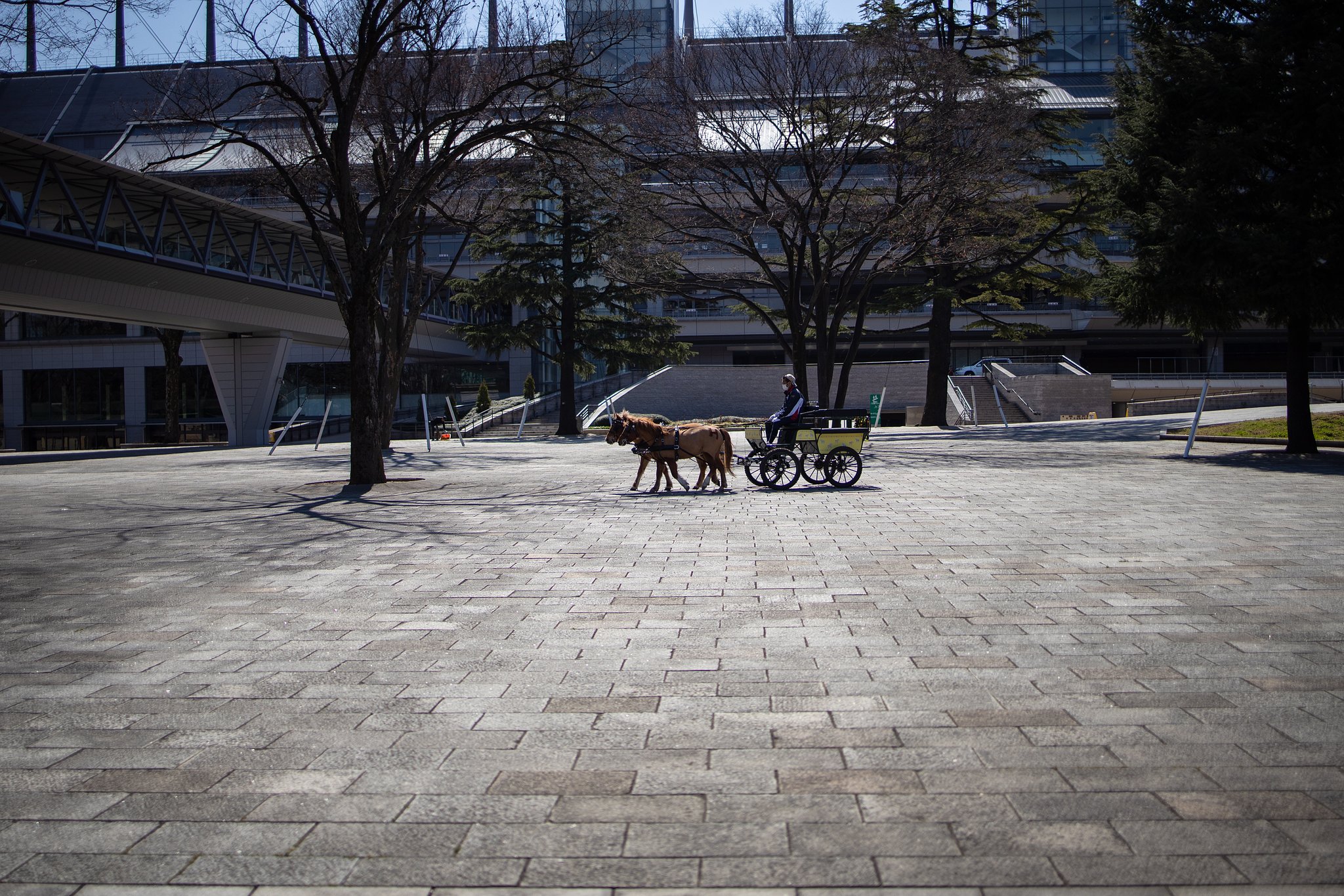 RF35mm F1.8 MACRO IS STM