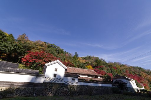 堀庭園