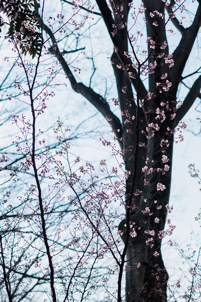 FUJINON XF35mmF1.4 R