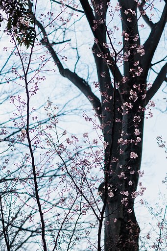 FUJINON XF35mmF1.4 R