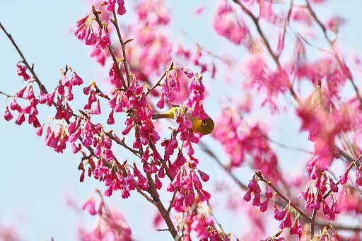 EF300mm F2.8L IS 