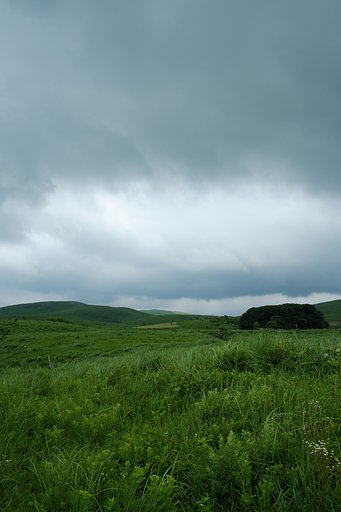 雲