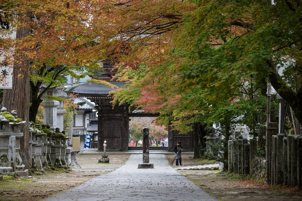 穏かな朝