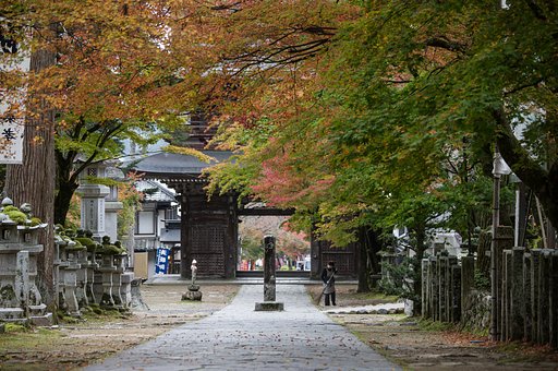 穏かな朝