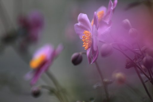 10月2日の写真
