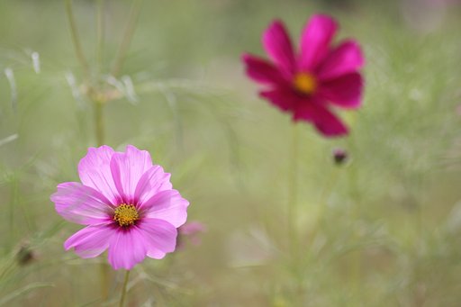 10月3日の写真