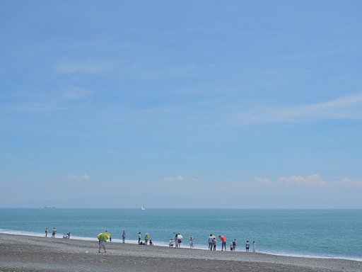 白い夏
