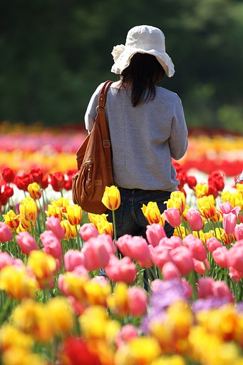 5月7日の写真