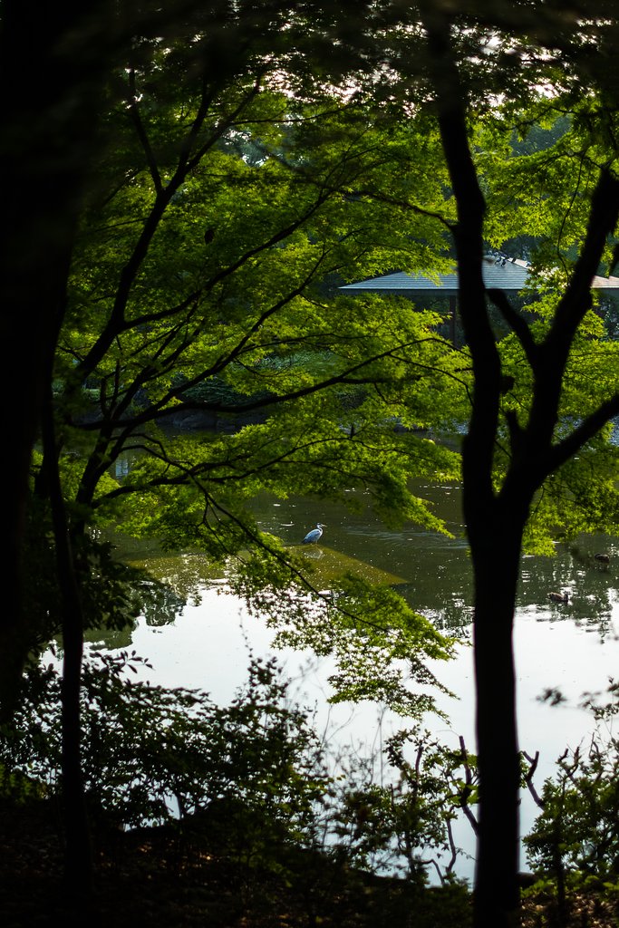 FUJINON XF35mm F1.4 R