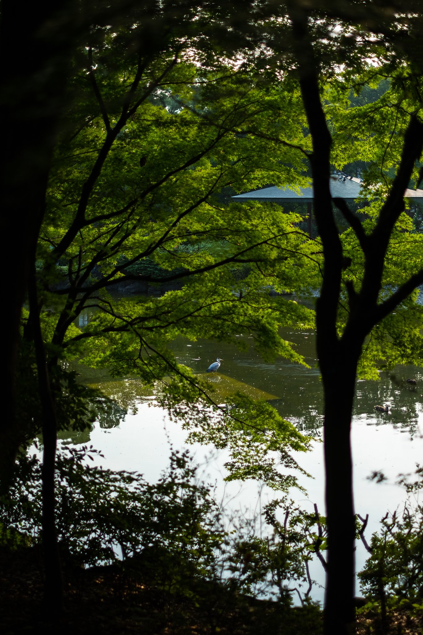 FUJINON XF35mm F1.4 R