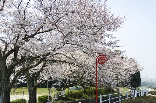 【道具】【花のある風景】消火栓