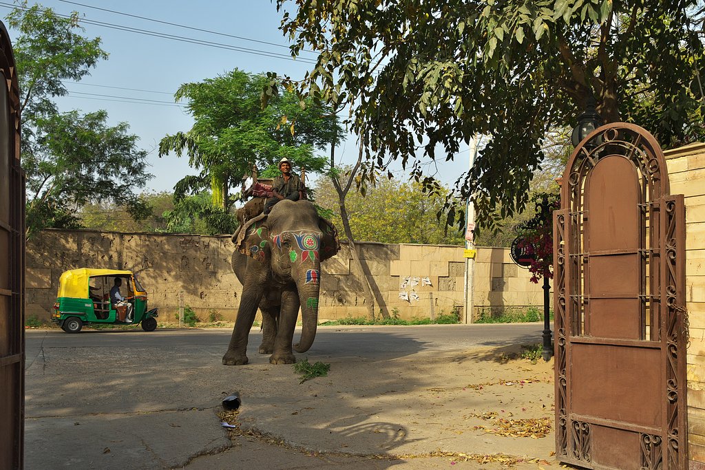 インド2