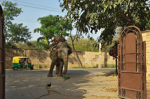 インド2
