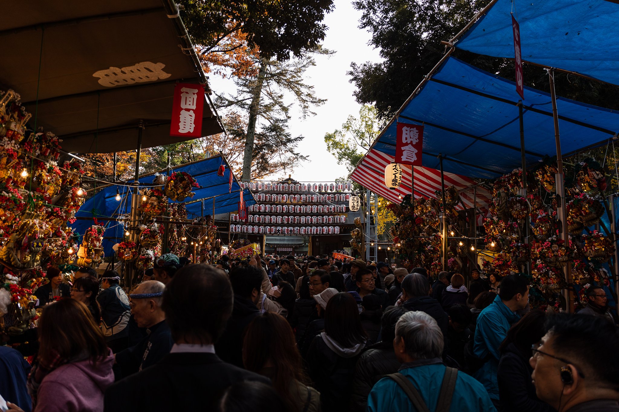 EF24-70mm F4 L IS