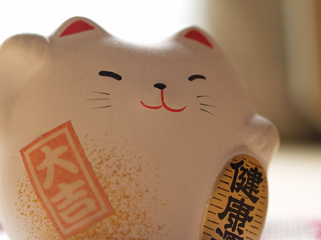 うちのネコ