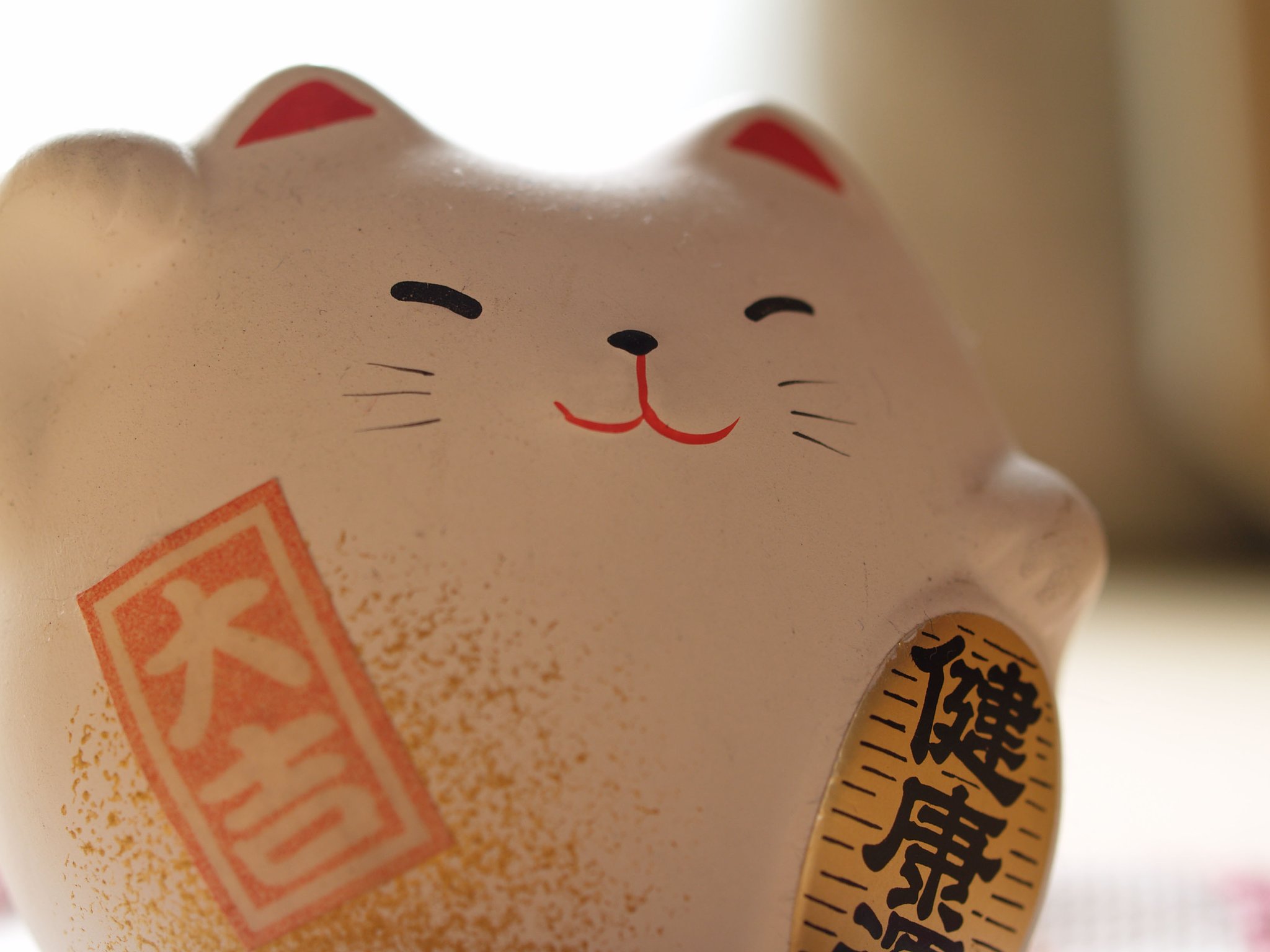 うちのネコ
