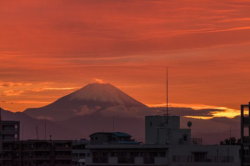 オレンジに染まる