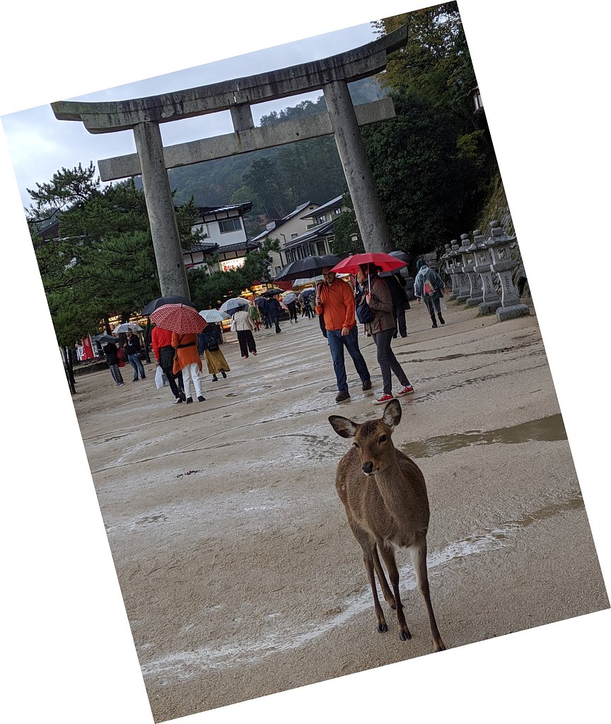 SIKA