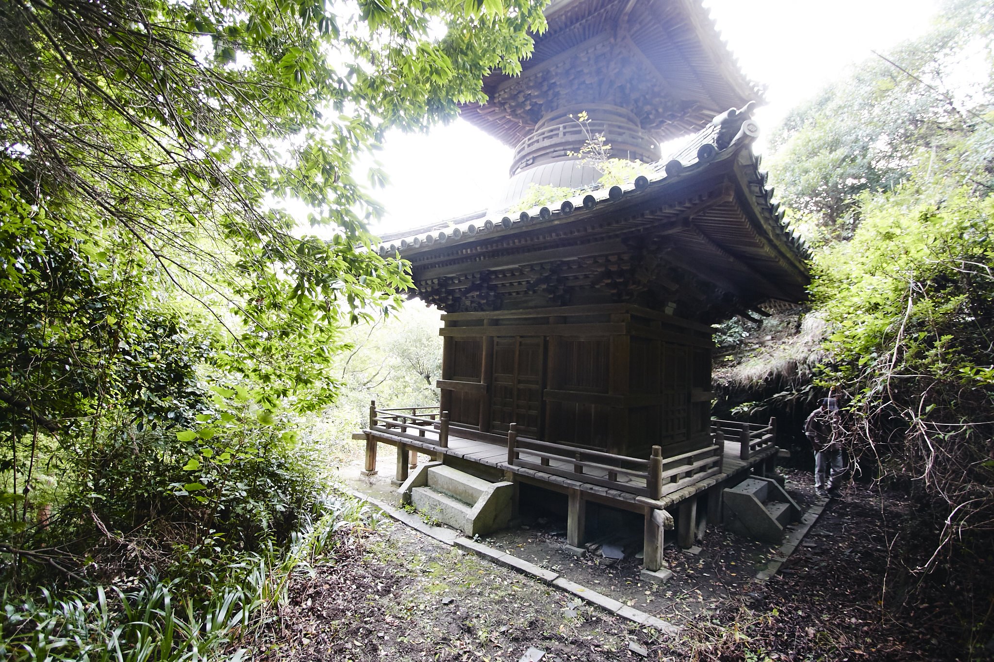 里山めぐり