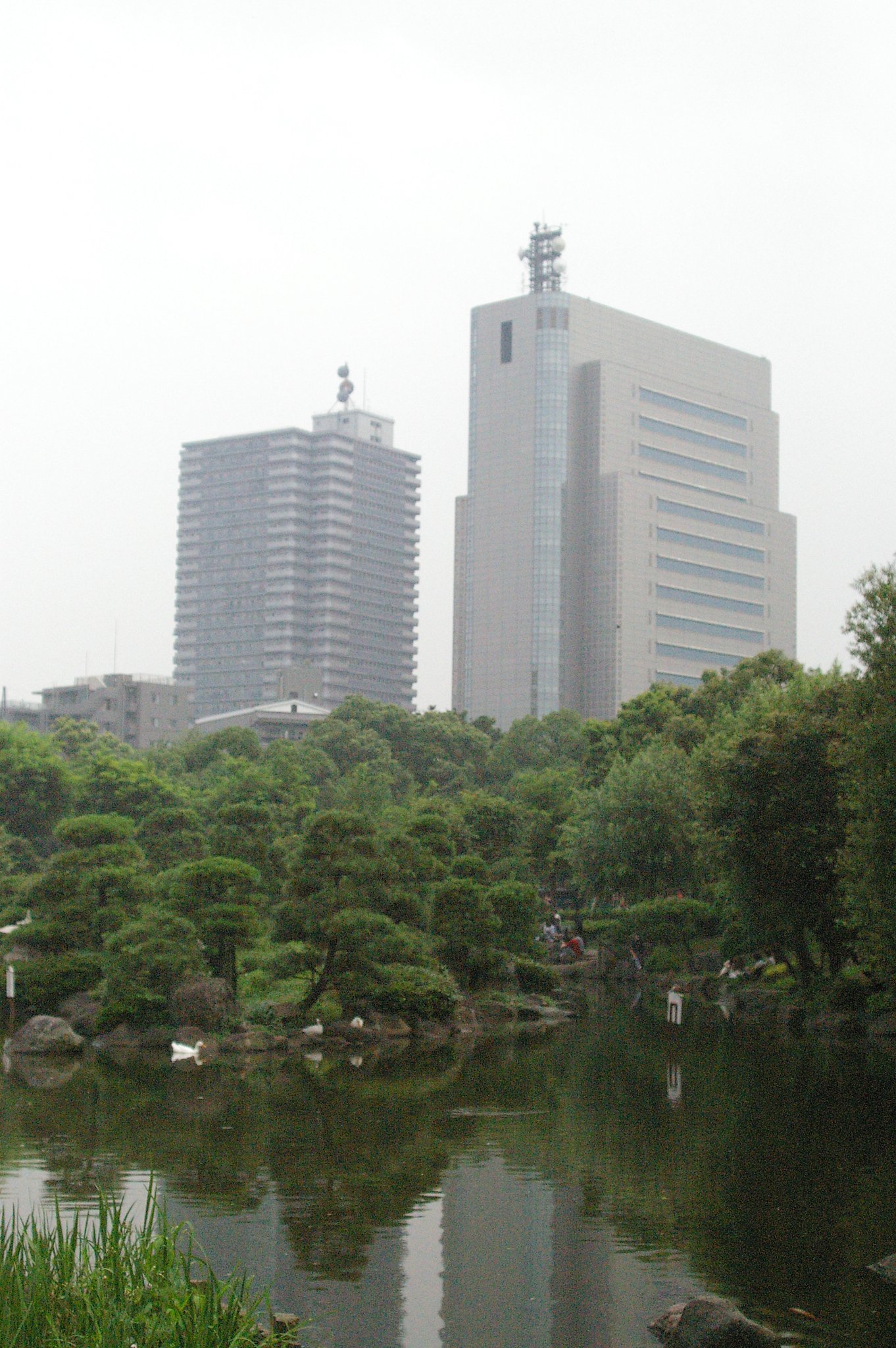 都会の池