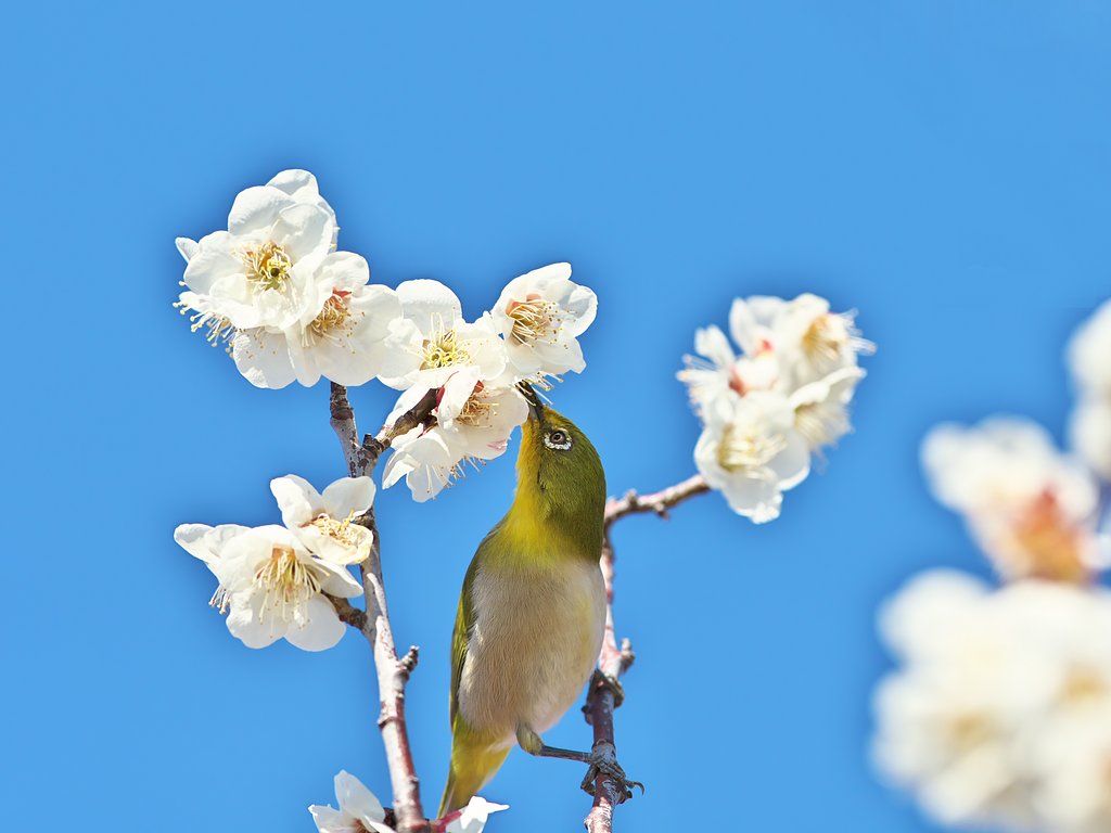 EF300mm F2.8L IS