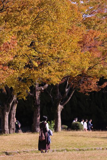 紅葉が来た！2019