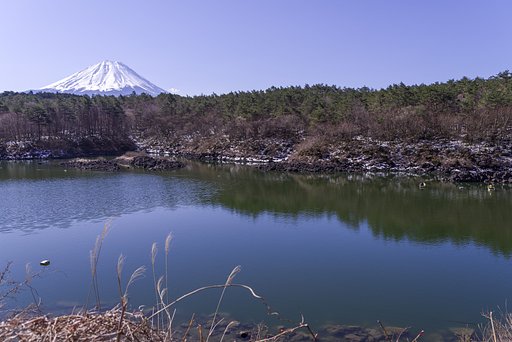 精進湖から
