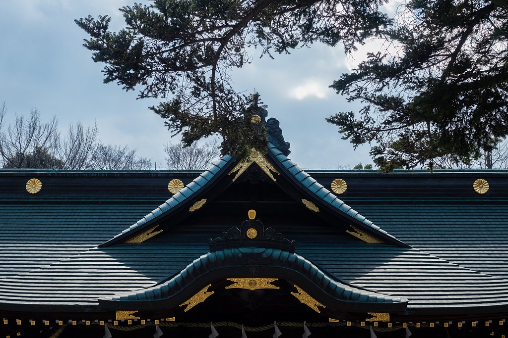 OLYMPUS M.12-40mm F2.8 PRO