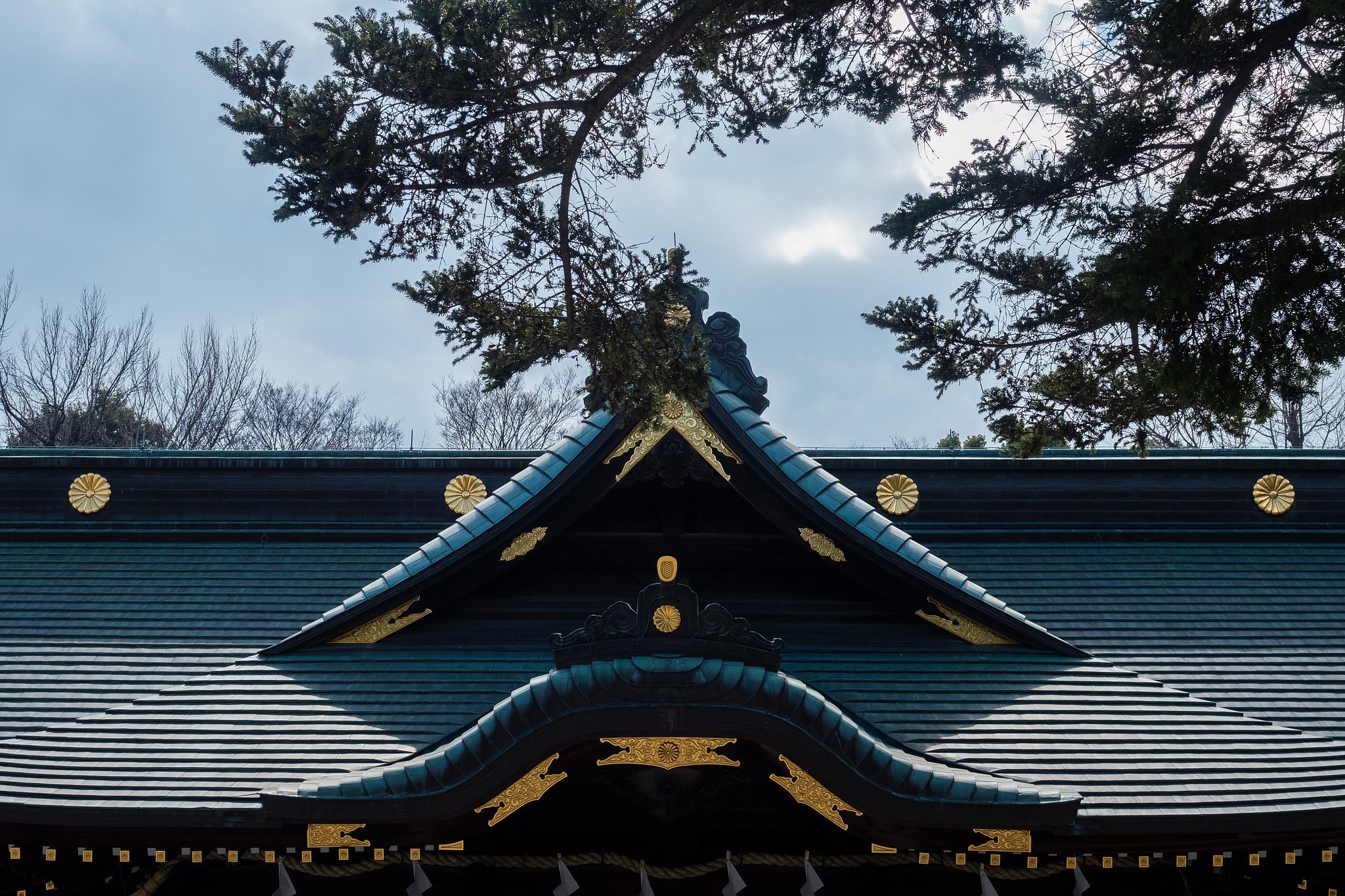 OLYMPUS M.12-40mm F2.8 PRO