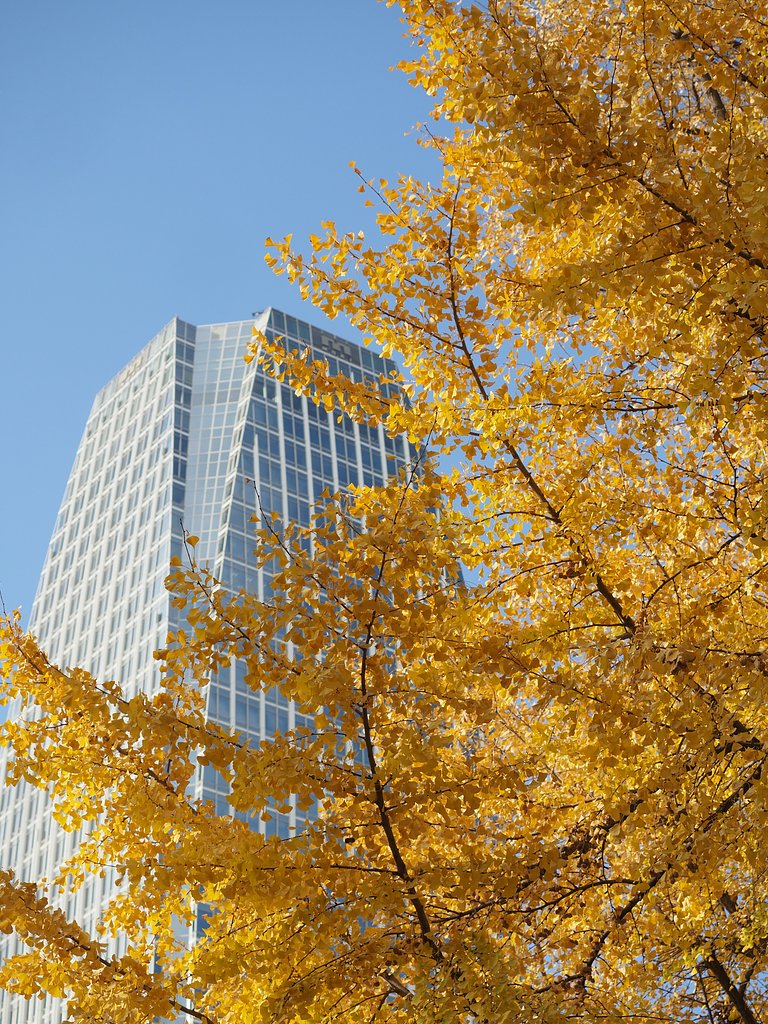 ◎M.ZUIKO DIGITAL ED 12-40mm/F2.8 PRO