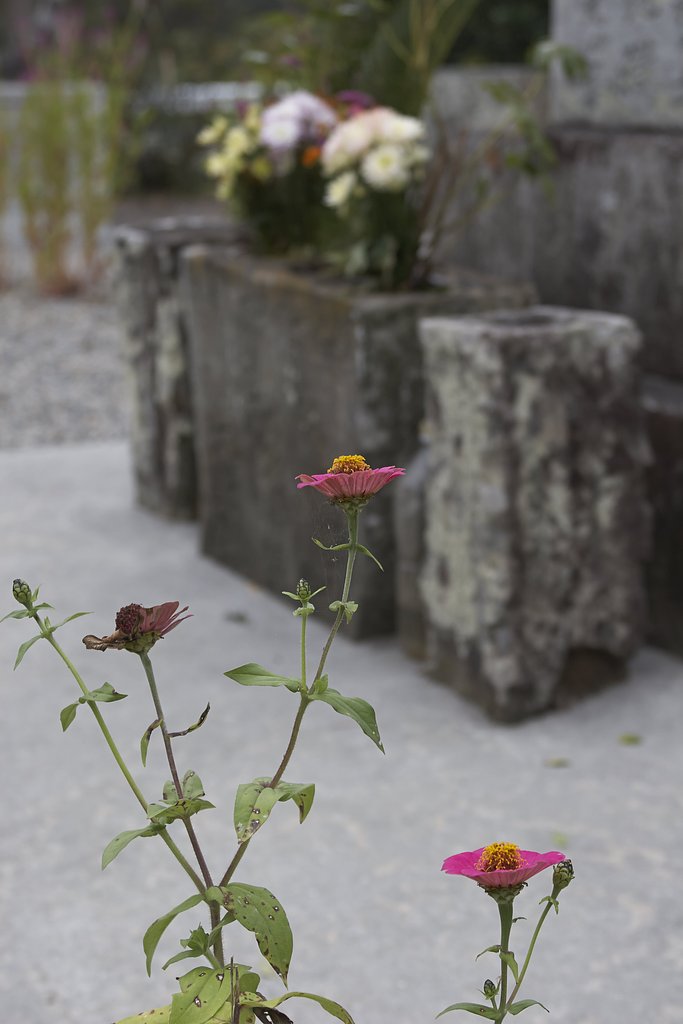 花を添える