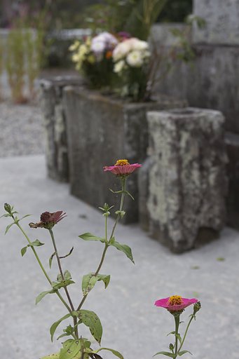 花を添える