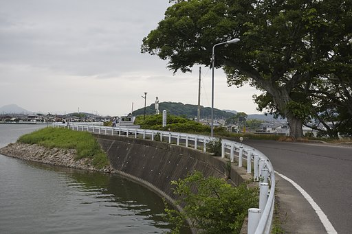 6月10日の写真