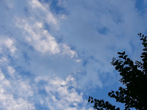 夏の夕