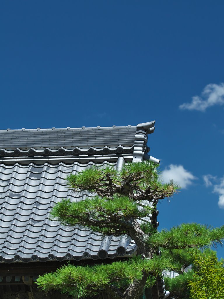 瓦
