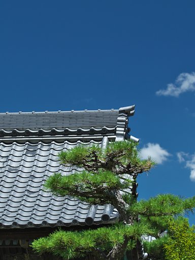 瓦