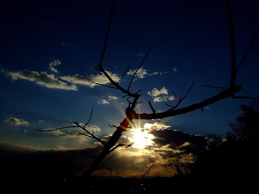 ある日の夕景