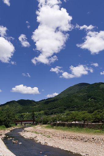 津和野川