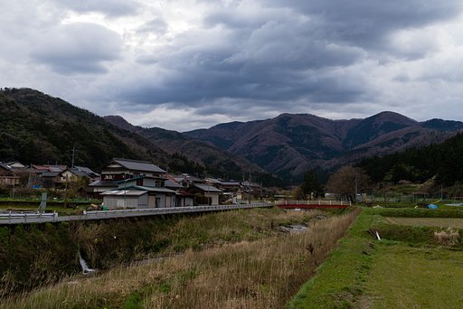 雨上がりの朝
