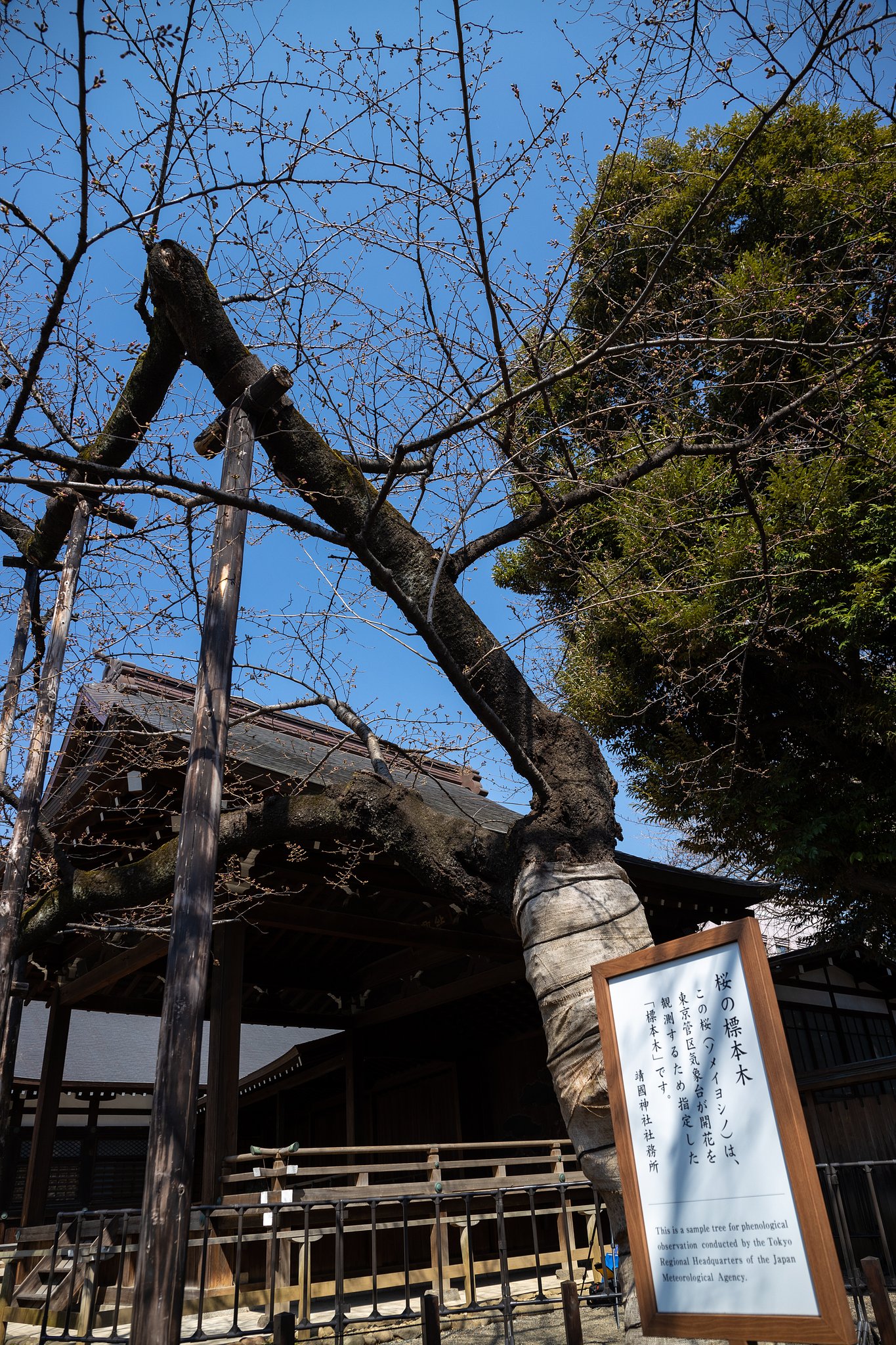 EF24-70mm f/4L IS USM