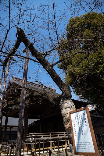 EF24-70mm f/4L IS USM